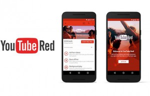 60f562962936575f44203538f2bae9c4